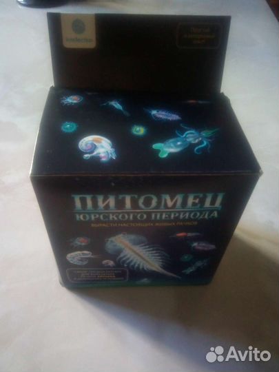 Выращивание живых рачков