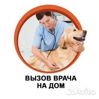 Ветеринарный врач на дом