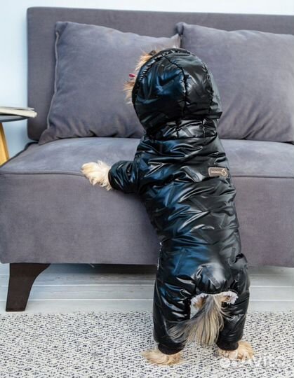 Комбинезон для собак размер m новый