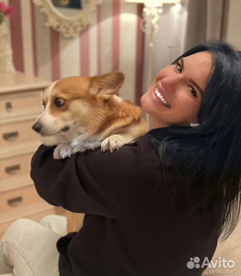 Репетитор по английскому языку