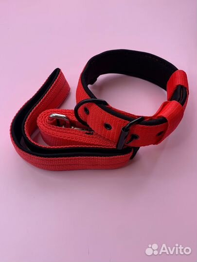 Ошейник для крупной собаки