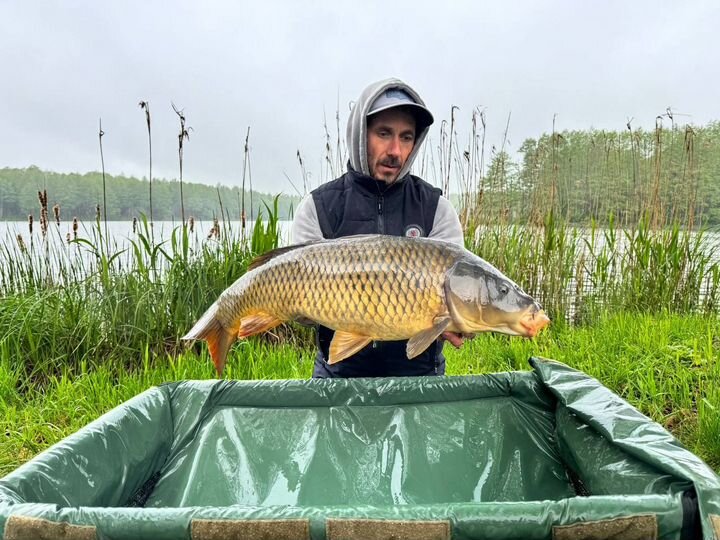 Дом 18 м² на участке 7 сот.