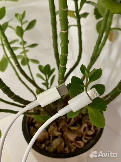 Кабель для iPhone lightning to USB type-C/ USB A