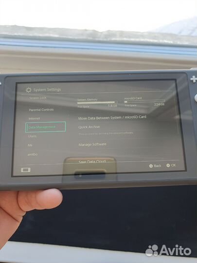 Nintendo Switch Lite