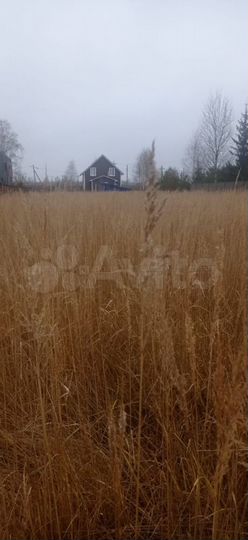 Участок 11,3 сот. (ИЖС)