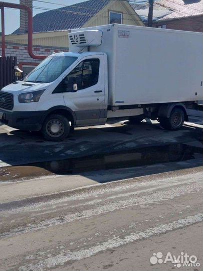 Грузоперевозки с рефрижератором и без