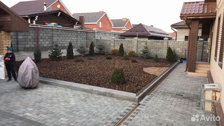 Шишка сосновая