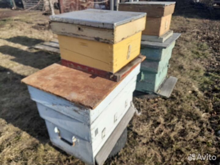 Продам ульи для пчел
