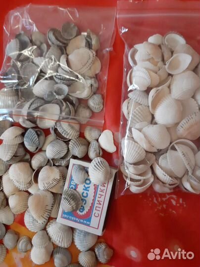 Морские ракушки и камни