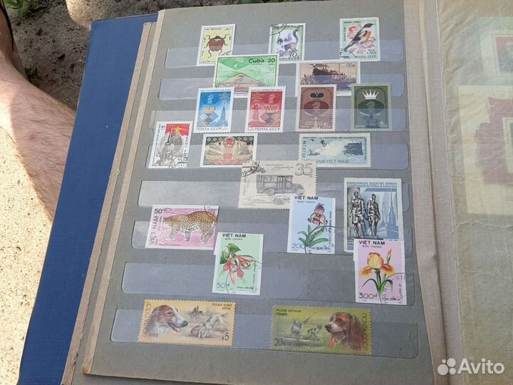 Почтовые марки мира