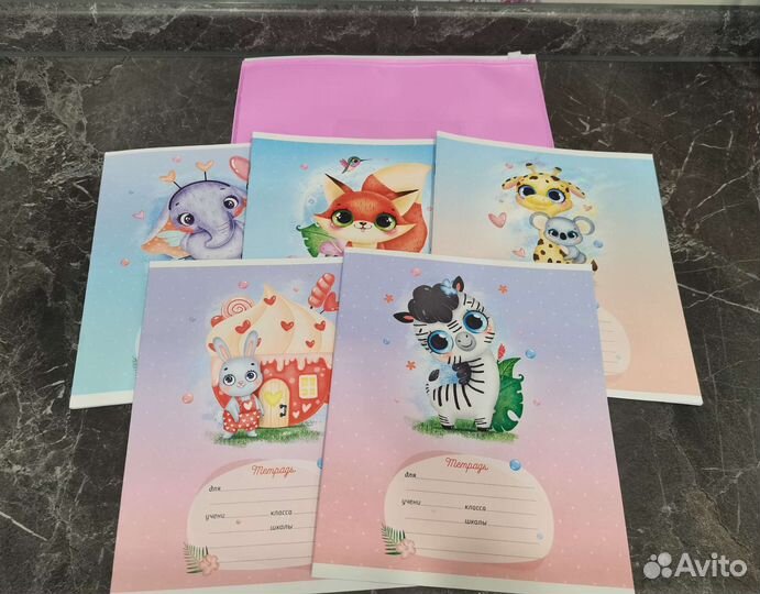 Набор тетрадей в папке