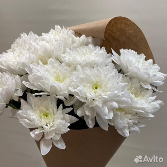 Букет хризантем / букет комплимент / Доставка цвет