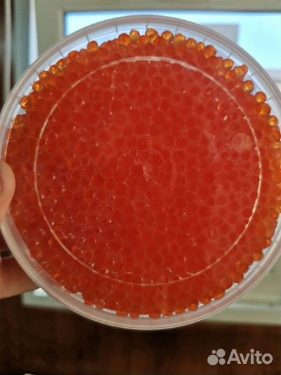 Красная Икра 2023 года