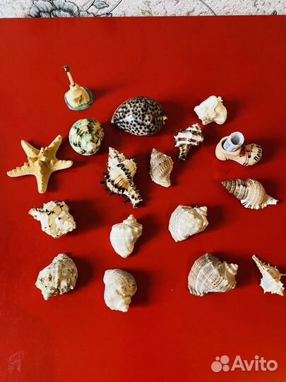 Статуэтки из ракушек, морские ракушки