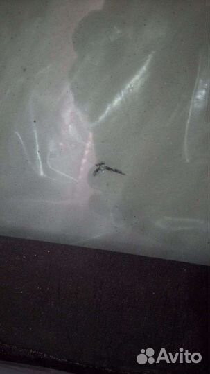 Лобовое стекло Hyundai santa fe