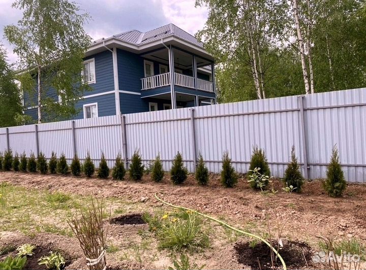 Туи западные