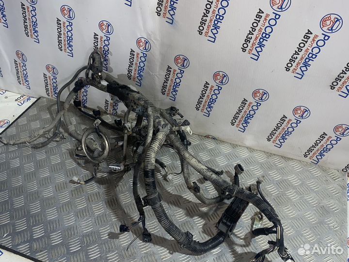 Проводка двигателя (двс ) Toyota Camry (XV40) VII