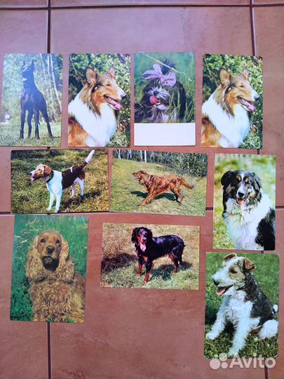 Набор открыток