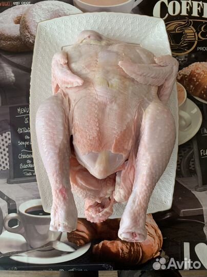 Мясо домашней птицы