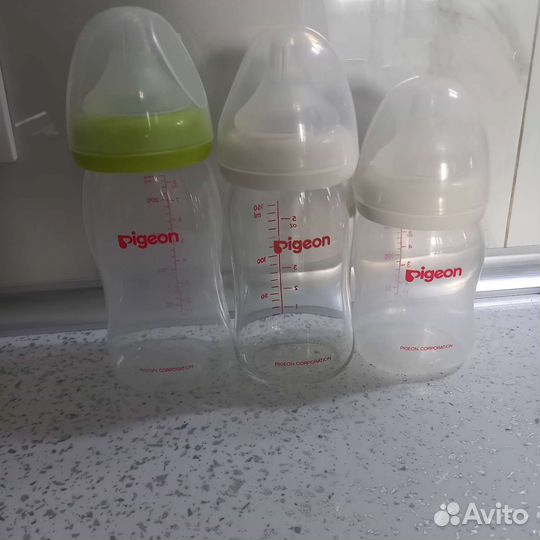 Бутылочки для кормления pigeon