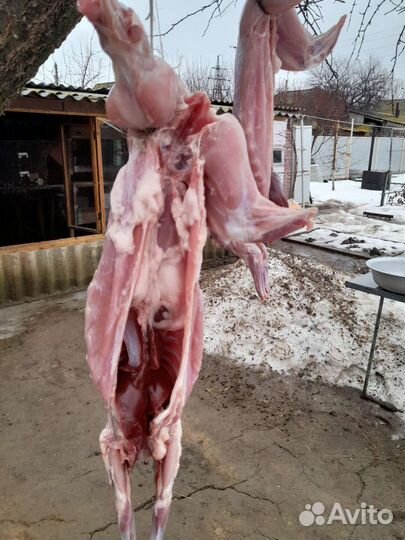 Мясо кролика