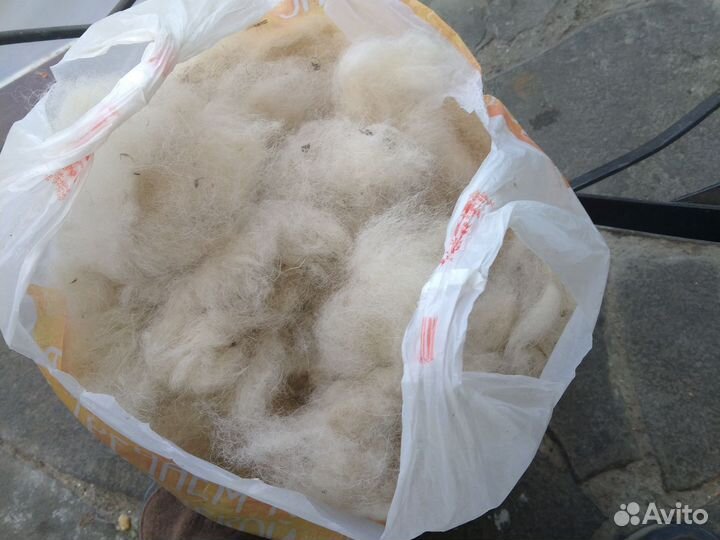 Собачья шерсть