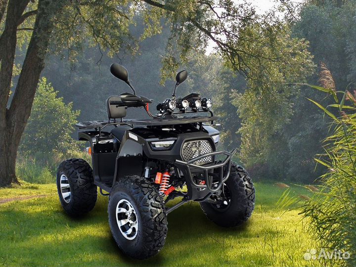 Квадроцикл promax ATV 250 PRO skaut