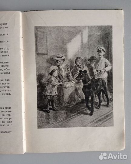 Вера Инбер, 