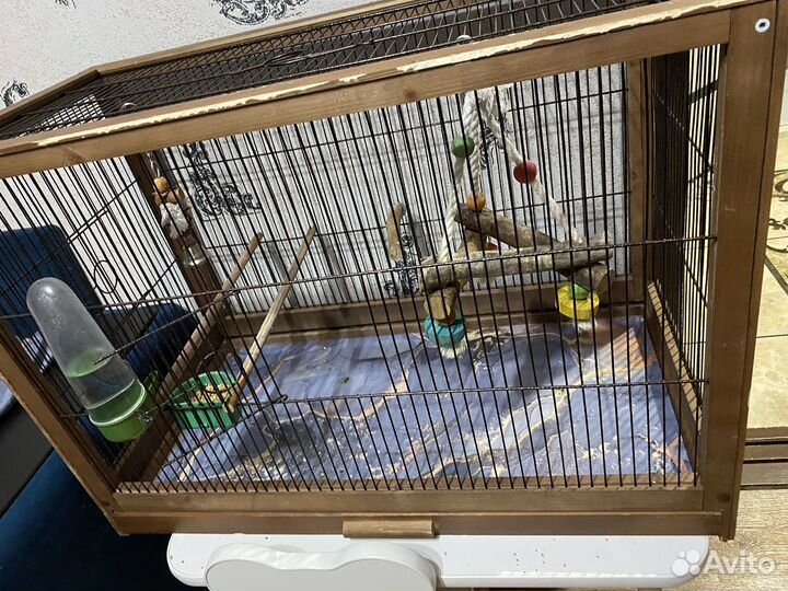 Клетка для крупного попугая