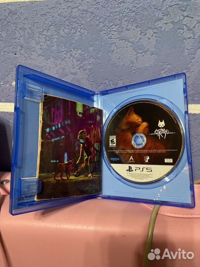 Stray игра на ps5