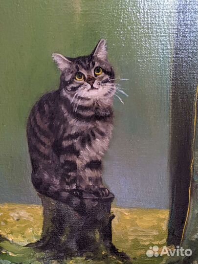 Кот холст,масло