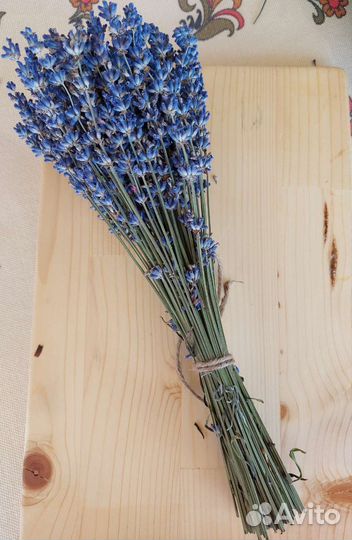 Лаванда сухоцвет