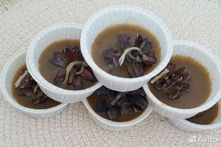 Шишки сосновые для розжига на пчелином воске