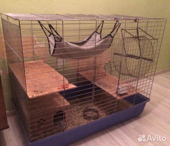 Большая клетка