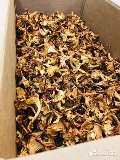 Сушеные грибы. Варенье из сосновой шишки