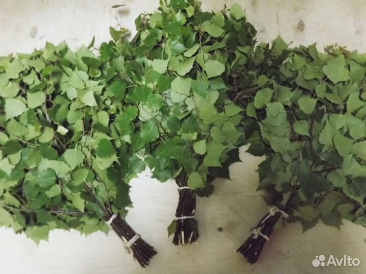 Веники дубовые, липовые, берёзовые