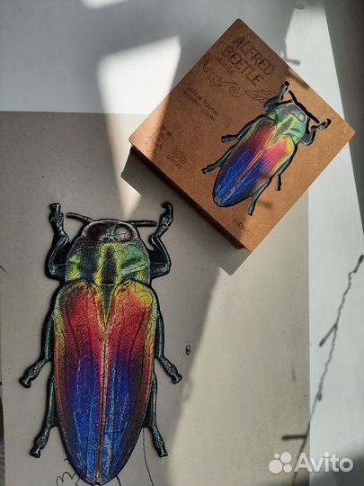 Пазл деревянный Жук Альфред