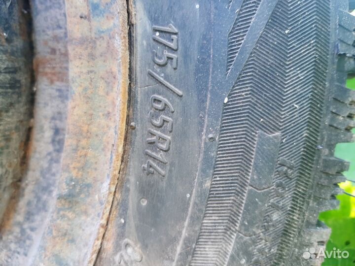 R14 КАМА Кама-Евро-519 175/65, PCD 4x98 DIA 58.6