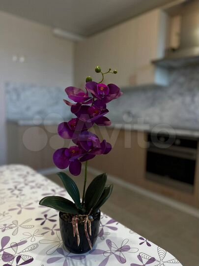 2-к. квартира, 66,1 м², 13/17 эт.