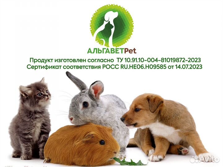 Живая хлорелла для животных Альгавет Pet 1,0 л