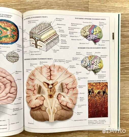 Книги новые.Дорлинг Киндерсли