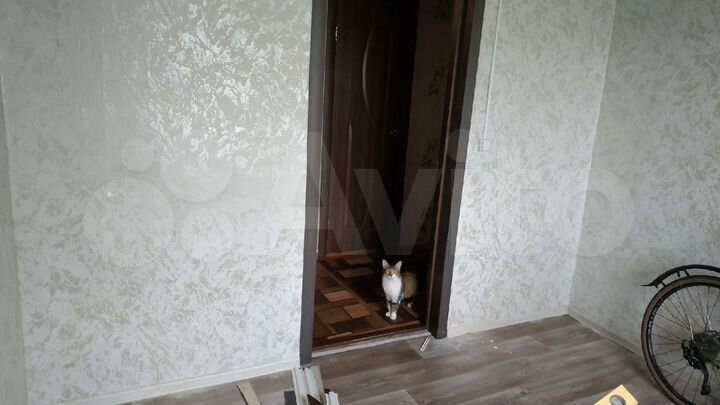 2-к. квартира, 43,4 м², 1/2 эт.