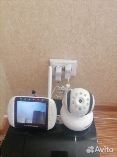 Видеоняня motorola