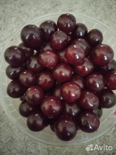 Саженцы вишни, малины