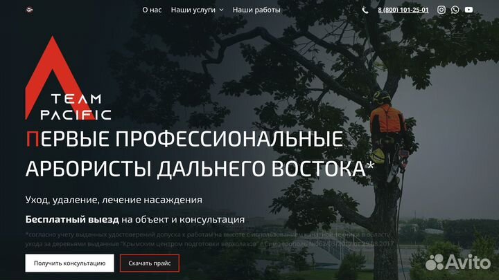 Создание и продвижение сайтов в топ под ключ