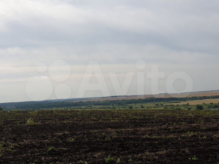 Участок 39 га (СНТ, ДНП)