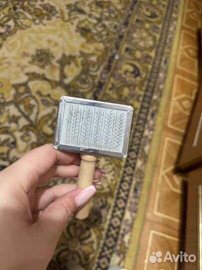 Принадлежности для кошек