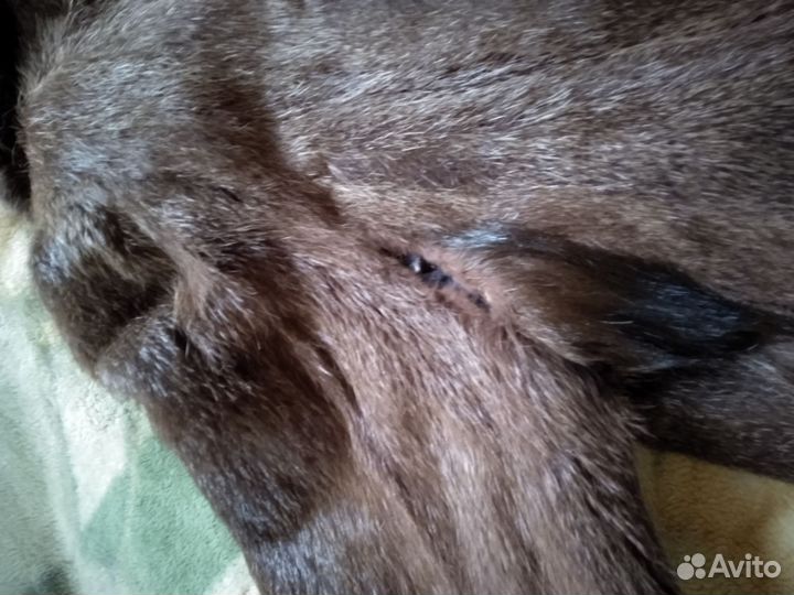 Шуба из нутрии 50 52