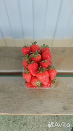 Клубника свежая Мурано,Априка и др