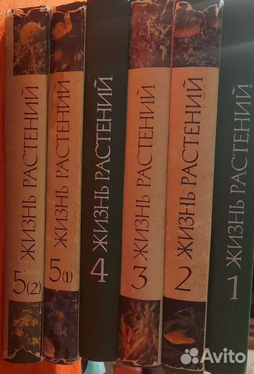 Жизнь растения 
